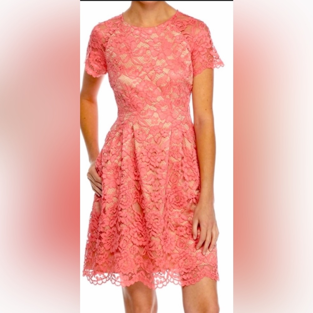 Vince Camuto Lace Dress